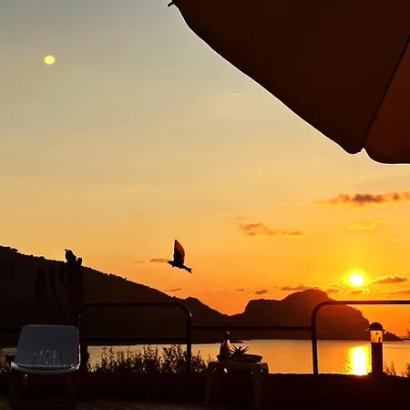 Ch Exclusive チェファル