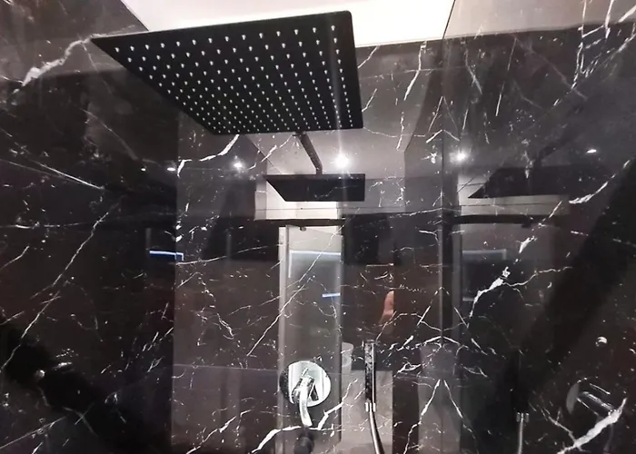 Ch Exclusive チェファル