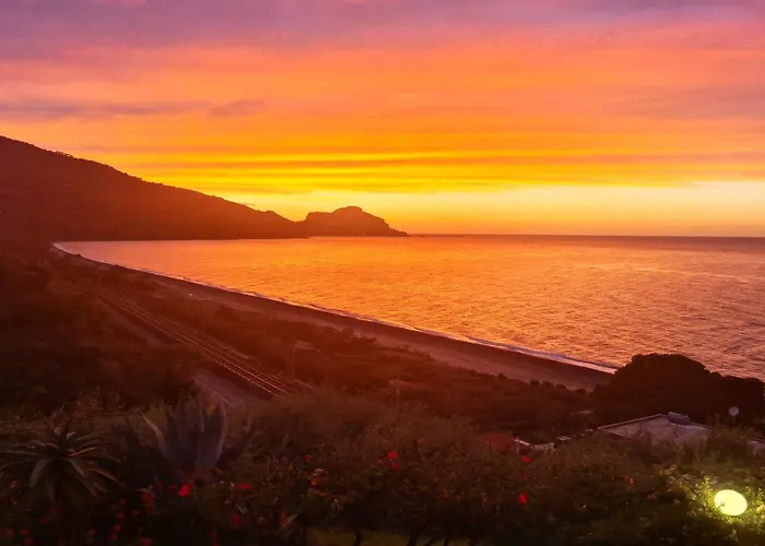 Ch Exclusive チェファル