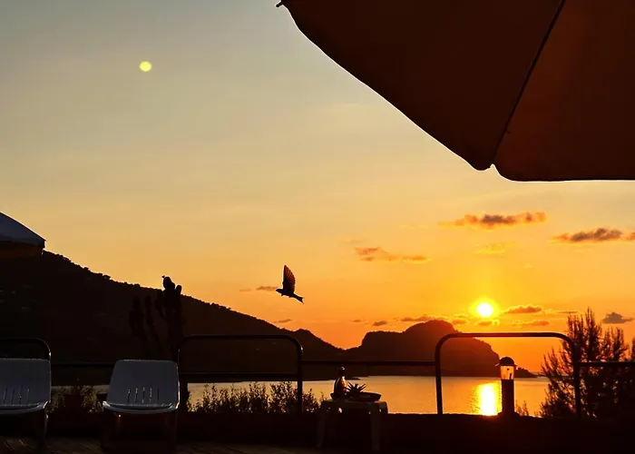 Ch Exclusive チェファル