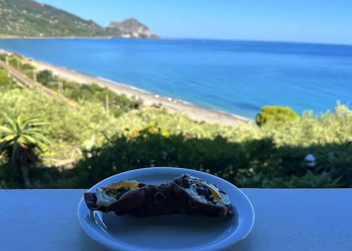 Ch Exclusive チェファル