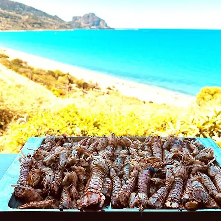 Ch Exclusive 4* 切法卢