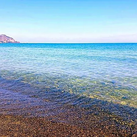 Ch Exclusive Cefalu