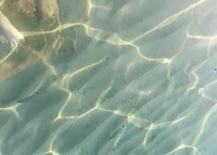 Aparthotel Ch Exclusive 4*